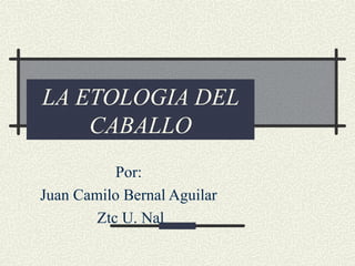 LA ETOLOGIA DEL
CABALLO
Por:
Juan Camilo Bernal Aguilar
Ztc U. Nal
 