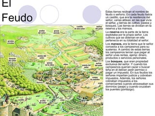 El Feudo Estas tierras recibian el nombre de feudo o señorio. En cada feudo había un castillo, que era la residencia del señor, varias aldeas, en las que vivía el señor, y tierras de cultivo, pastos y bosques. Las tierras se dividian en la reserva y los mansos. La  reserva  era la parte de la tierra explotaba por le propio señor. Los cultivos que se obtenian en ella pertenecía en su totalidad al señor. Los  mansos,  era la tierra que le señor concedía a los campesinos para su sustenso. A cambio de estas tierras los campesinos tenían que pagar al señor unas rentas. ejemp: dinero, productos o servicios personales. Los  bosques , que eran propiedad exclusiva del señor. Y cuando los campesinos querían cazar o buscar leña en él debían pedir permiso o pagar un impuesto. En sus feudos los señores impartian justicia y cobraban impuestos. Además, los señores cobraban impuestos a los comerciantes cuando atravesaban sus dominios (peaje) y cuando cruzaban los puentes (pontazgo). 