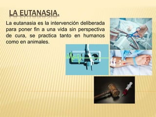 LA EUTANASIA.
La eutanasia es la intervención deliberada
para poner fin a una vida sin perspectiva
de cura, se practica tanto en humanos
como en animales.
 