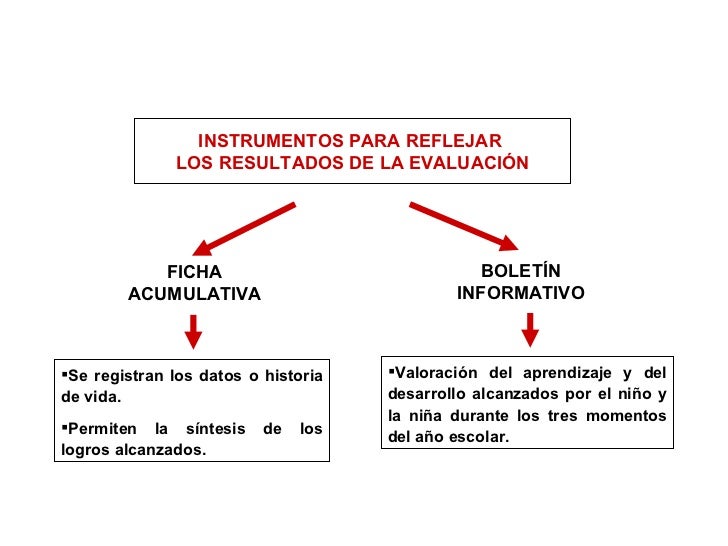 FICHA ACUMULATIVA <ul><li>Se registran los datos o historia de vida. </li></ul><ul><li>Permiten la síntesis de los logros ...