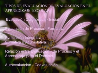 TIPOS DE EVALUACIÓN DE EVALUACIÓN EN EL APRNEDIZAJE  ESCOLAR     Evaluación Diagnóstica - Inicial     Evaluación de Proceso - Formativa     Evaluación Integrativa -  Sumativa o Acumulativa   Relación entre Evaluación - de Proceso y el Aprendizaje para el Dominio.    Autoevaluación - Coevaluación   