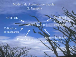 Modelo de Aprendizaje Escolar  (J. Carroll) APRENDIZAJE APTITUD Habilidad para  c omprender la  enseñanza Tiempo destinado  a la Enseñanza Perseverancia Calidad de  la enseñanza 