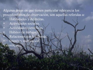 Algunas áreas en que tienen particular relevancia los procedimientos de observación, son aquellas referidas a:        Habilidades y destrezas.        Actividades sociales.        Actividades científicas.        Hábitos de trabajo.        Relaciones con los demás.        Interés y motivación. Valores, etc.   