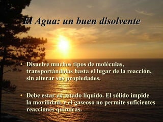 El Agua: un buen disolvente Disuelve muchos tipos de moléculas, transportándolas hasta el lugar de la reacción, sin alterar sus propiedades. Debe estar en estado líquido. El sólido impide la movilidad, y el gaseoso no permite suficientes reacciones químicas. 