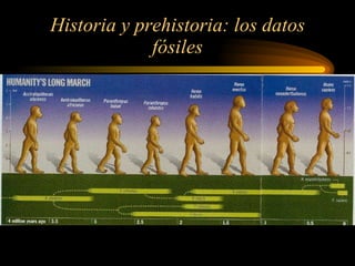 Historia y prehistoria: los datos fósiles 
