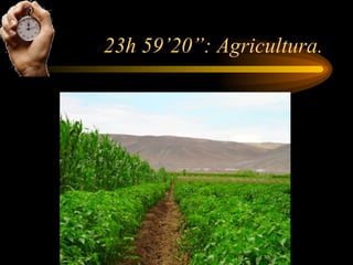 23h 59’20”: Agricultura. 