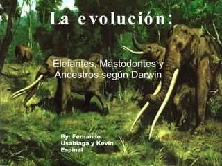 La evolución: Elefantes, Mastodontes y Ancestros según Darwin By: Fernando Usabiaga y Kevin Espinal 