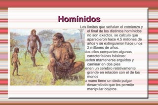 Homínidos Los límites que señalan el comienzo y el final de los distintos homínidos no son exactos, se calcula que aparecieron hace 4.5 millones de años y se extinguieron hace unos 2 millones de años.  Todos ellos comparten algunas características básicas: · Pueden mantenerse erguidos y caminar en dos pies · Tienen un cerebro relativamente grande en relación con el de los monos · Su mano tiene un dedo pulgar desarrollado que les permite manipular objetos. 