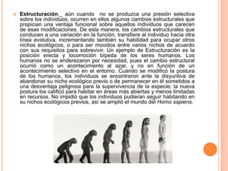    Estructuración._ aún cuando no se produzca una presión selectiva
    sobre los individuos, ocurren en ellos algunos cambios estructurales que
    propician una ventaja funcional sobre aquellos individuos que carecen
    de esas modificaciones. De esta manera, los cambios estructurales que
    conducen a una variación en la función, transfiere al individuo hacia otra
    línea evolutiva, incrementando también su habilidad para ocupar otros
    nichos ecológicos, o para ser movidos entre varios nichos de acuerdo
    con sus requisitos para sobrevivir. Un ejemplo de Estructuración es la
    posición erecta y locomoción bípeda de los seres humanos. Los
    humanos no se enderezaron por necesidad, pues el cambio estructural
    ocurrió como un acontecimiento al azar, y no en función de un
    acontecimiento selectivo en el entorno. Cuando se modificó la postura
    de los humanos, los individuos se encontraron ante la disyuntiva de
    abandonar su nicho ecológico previo o de permanecer en él sometidos a
    una desventaja peligrosa para la supervivencia de la especie; la nueva
    postura los calificó para habitar en áreas más abiertas y menos limitadas
    en recursos. No impidió que los individuos pudieran seguir habitando en
    su nichos ecológicos previos, así se amplió el mundo del Homo sapiens.
 