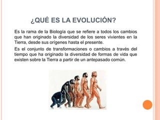 ¿QUÉ ES LA EVOLUCIÓN?
Es la rama de la Biología que se refiere a todos los cambios
que han originado la diversidad de los seres vivientes en la
Tierra, desde sus orígenes hasta el presente.
Es el conjunto de transformaciones o cambios a través del
tiempo que ha originado la diversidad de formas de vida que
existen sobre la Tierra a partir de un antepasado común.
 
