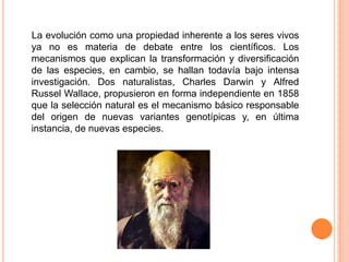 La evolución como una propiedad inherente a los seres vivos
ya no es materia de debate entre los científicos. Los
mecanismos que explican la transformación y diversificación
de las especies, en cambio, se hallan todavía bajo intensa
investigación. Dos naturalistas, Charles Darwin y Alfred
Russel Wallace, propusieron en forma independiente en 1858
que la selección natural es el mecanismo básico responsable
del origen de nuevas variantes genotípicas y, en última
instancia, de nuevas especies.
 