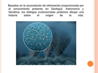 Basados en la acumulación de información proporcionada por
el conocimiento presente en Geología, Astronomía y
Genética, los biólogos evolucionistas podemos dibujar una
historia    sobre     el     origen     de     la    vida.
 