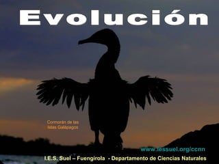 I.E.S. Suel – Fuengirola - Departamento de Ciencias Naturales
Cormorán de las
Islas Galápagos
www.iessuel.org/ccnn
 