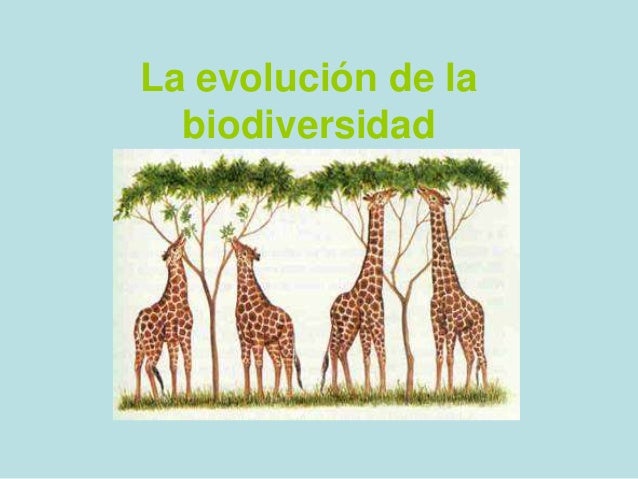 La evolución de la biodiversidad. 1ºeso