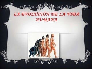 LA EVOLUCIÓN DE LA VIDA
       HUMANA
 