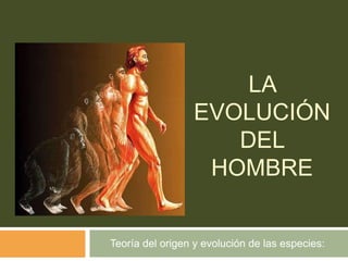 La evolución del hombre  Teoría del origen y evolución de las especies: 