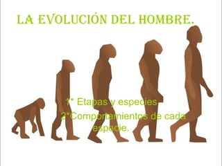 La evoLución deL hombre.




      1* Etapas y especies
     2*Comportamientos de cada
            especie.
 