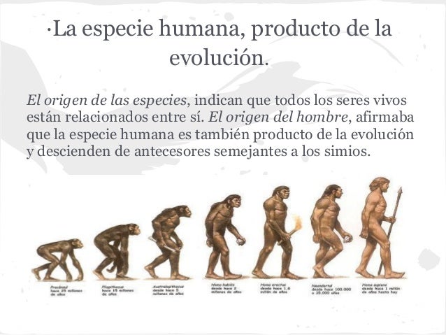 La evolución del hombre