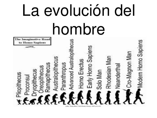 Evolucion Del Hombre On Emaze