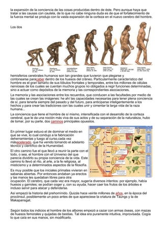La evolución del hombre | PDF