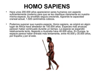 HOMO SAPIENS
•

Hace unos 200.000 años aparecieron seres humanos con aspecto
suficientemente moderno para que se les clasifique claramente en nuestra
misma especie. Su encéfalo seguía creciendo, logrando la capacidad
craneal actual, 1.500 centímetros cúbicos.

•

Podemos suponer que nuestra especie, Homo sapiens, se originó en algún
lugar de África hace alrededor de 150.000 años. Especies más arcaicas
parecen haber continuado durante un tiempo. La especie se expandió
relativamente lento, llegando a Australia hace 40.000 años. En Europa, la
especie parece haber entrado más lentamente, entre 40.000 y 35.000 años,
por España y por el este.

 