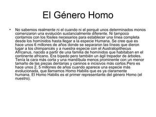 El Género Homo
•

No sabemos realmente ni el cuando ni el porqué unos determinados monos
comenzaron una evolución sustancialmente diferente. Ni tampoco
contamos con los fósiles necesarios para establecer una línea completa
desde los homínidos hasta llegar a la especie Humana. Se cree que es
hace unos 6 millones de años donde se separaron las líneas que dieron
lugar a los chimpancés y a nuestra especie con el Australopithecus
Africanus, nacido a partir de una familia de homínidos que habitaban en el
continente africano. Era bípedo pero también un ágil trepador de árboles.
Tenía la cara más corta y una mandíbula menos prominente con un menor
tamaño de las piezas dentarias y caninos e incisivos más cortos.Pero es
hace unos 2, 5 millones de años cuando aparece una especie más
evolucionada, que llamamos Homo Habilis que es ya claramente
humana. El Homo Habilis es el primer representante del género Homo (el
nuestro).

 