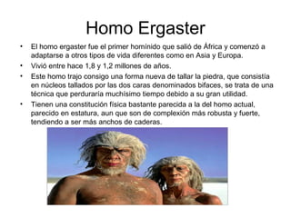 Homo Ergaster
•
•
•

•

El homo ergaster fue el primer homínido que salió de África y comenzó a
adaptarse a otros tipos de vida diferentes como en Asia y Europa.
Vivió entre hace 1,8 y 1,2 millones de años.
Este homo trajo consigo una forma nueva de tallar la piedra, que consistía
en núcleos tallados por las dos caras denominados bifaces, se trata de una
técnica que perduraría muchísimo tiempo debido a su gran utilidad.
Tienen una constitución física bastante parecida a la del homo actual,
parecido en estatura, aun que son de complexión más robusta y fuerte,
tendiendo a ser más anchos de caderas.

 