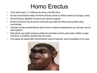 Homo Erectus
•
•
•
•
•
•
•

Vivió entre hace 1,7 millones de años y 50 000 años.
Se han encontrado restos de Homo Erectus tanto en África como en Europa y Asia.
Homo Erectus significa 'humano que camina erguido
El Homo Erectus fue el primer homínido que salió de África para poblar otros
continentes.
Muchas de las características del humano moderno aparecieron por primera vez en
esta especie.
Descubrió que podía ponerse pieles de animales encima para estar cálido y luego
comenzó a coserlas usando tiras de cuero.
Fue capaz de desarrollar herramientas como el garrote, que le ayudaba en la caza

 