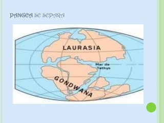 PANGEA SE SEPARA
 