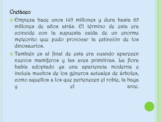 Cretáceo
 Empieza hace unos 145 millones y dura hasta 65
millones de años atrás. El término de esta era
coincide con la supuesta caída de un enorme
meteorito que pudo provocar la extinción de los
dinosaurios.
 También es al final de esta era cuando aparecen
nuevos mamíferos y las aves primitivas. La flora
había adoptado ya una apariencia moderna e
incluía muchos de los géneros actuales de árboles,
como aquellos a los que pertenecen el roble, la haya
y el arce.
 