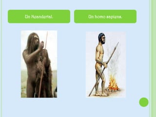 Un Neandertal. Un homo sapiens.
 