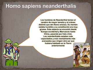 Homo sapiens neanderthalisLos hombres de Neanderthal tenían el cerebro de mayor tamaño y el cráneo distinto que del Homo erectus. Su mentón estaba hundido y su constitución era muy gruesa. Esta especie se encontró desde Europa occidental y Marruecos hasta China, pasando por Irak e Irán. Los neanderthales estaban más capacitados y eran mentalmente más avanzados que ningún otro ser que hubiera habitado en la Tierra anteriormente