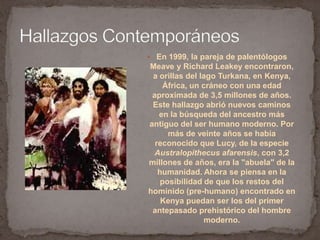 En 1999, la pareja de palentólogosMeave y Richard Leakey encontraron, a orillas del lago Turkana, en Kenya, África, un cráneo con una edad aproximada de 3,5 millones de años. Este hallazgo abrió nuevos caminos en la búsqueda del ancestro más antiguo del ser humano moderno. Por más de veinte años se había reconocido que Lucy, de la especie Australopithecusafarensis, con 3,2 millones de años, era la "abuela" de la humanidad. Ahora se piensa en la posibilidad de que los restos del homínido (pre-humano) encontrado en Kenya puedan ser los del primer antepasado prehistórico del hombre moderno.Hallazgos Contemporáneos
