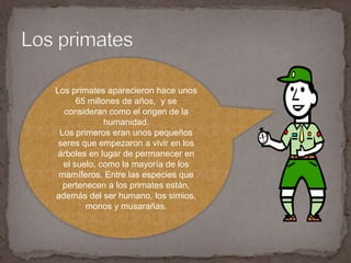 Los límites que señalen el comienzo y el final de los distintos homínidos no son exactos, se calcula que aparecieron hace 4.5 millones de años y se extinguieron hace unos 2 millones de años. 