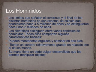 Los científicos distinguen entre varias especies de homínidos. Todos ellos comparten algunas características básicas: Pueden mantenerse erguidos y caminar en dos piesTienen un cerebro relativamente grande en relación con el de los monos.Su mano tiene un dedo pulgar desarrollado que les permite manipular objetos.Los Homínidos