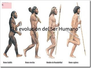 “La evolución del Ser Humano”
 