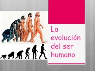 La
evolución
del ser
humano
 