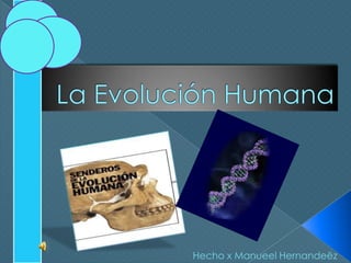La Evolución Humana Hecho x Manueel Hernandeëz 