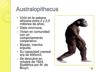 Australopithecus
 Vivió en la sabana
  africana entre 4 y 2,5
  millones de años.
 Dieta omnívora.
 Vivian en comunidad
  con un
  comportamiento
  cooperativo.
 Bípedo, marcha
  erguida.
 Su capacidad craneal
  era de 400cm3.
 Se descubre en
  octubre de 1924,
  Sudáfrica por M. de
  Bruyn.
 