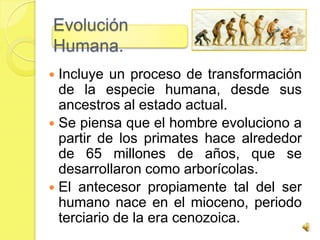 Evolución
Humana.
 Incluye un proceso de transformación
  de la especie humana, desde sus
  ancestros al estado actual.
 Se piensa que el hombre evoluciono a
  partir de los primates hace alrededor
  de 65 millones de años, que se
  desarrollaron como arborícolas.
 El antecesor propiamente tal del ser
  humano nace en el mioceno, periodo
  terciario de la era cenozoica.
 