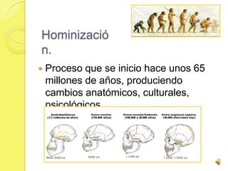 Hominizació
n.
   Proceso que se inicio hace unos 65
    millones de años, produciendo
    cambios anatómicos, culturales,
    psicológicos.
 