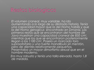  El volumen craneal, muy variable, ha ido
aumentando a lo largo de su dilatada historia. Tenía
una capacidad mayor que la del Homo habilis y que
la del Homo gerogicus encontrado en Dmanisi. Los
primeros restos que se encontraron del hombre de
Java muestran una capacidad craneal de 850 cm3
,
mientras que los que se encontraron posteriormente
llegan a los 1100 cm3
. Poseía un marcado toro
supraorbitario y una fuerte mandíbula sin mentón,
pero de dientes relativamente pequeños.
Presentaba un mayor dimorfismo sexual que en el
hombre moderno.
Era muy robusto y tenía una talla elevada, hasta 1,8
de medida.
 