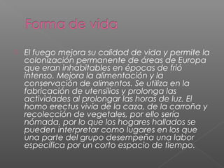  El fuego mejora su calidad de vida y permite la
colonización permanente de áreas de Europa
que eran inhabitables en épocas de frió
intenso. Mejora la alimentación y la
conservación de alimentos. Se utiliza en la
fabricación de utensilios y prolonga las
actividades al prolongar las horas de luz. El
homo erectus vivía de la caza, de la carroña y
recolección de vegetales, por ello sería
nómada, por lo que los hogares hallados se
pueden interpretar como lugares en los que
una parte del grupo desempeña una labor
específica por un corto espacio de tiempo.
 