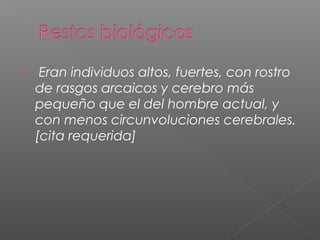  Eran individuos altos, fuertes, con rostro
de rasgos arcaicos y cerebro más
pequeño que el del hombre actual, y
con menos circunvoluciones cerebrales.
[cita requerida]
 