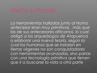  La herramientas halladas junto al Homo
antecesor eran muy primitivas , más que
las de sus antecesores africanos, lo cual
obligó a los arqueólogos de Atapuerca
a elaborar una nueva teoría, según la
cual los humanos que se instalan en
tierras vírgenes no son conquistadores
con herramientas avanzadas, sino parias
con una tecnología primitiva que tienen
que ir a buscarse la vida a otra parte
 