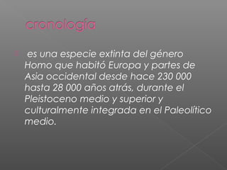  es una especie extinta del género
Homo que habitó Europa y partes de
Asia occidental desde hace 230 000
hasta 28 000 años atrás, durante el
Pleistoceno medio y superior y
culturalmente integrada en el Paleolítico
medio.
 