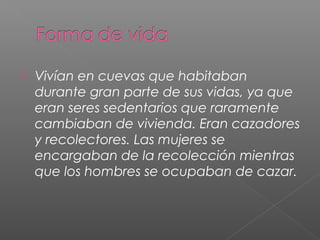  Vivían en cuevas que habitaban
durante gran parte de sus vidas, ya que
eran seres sedentarios que raramente
cambiaban de vivienda. Eran cazadores
y recolectores. Las mujeres se
encargaban de la recolección mientras
que los hombres se ocupaban de cazar.
 