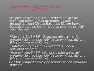  Los primeros restos fósiles, el cráneo de un niño
conocido como el niño de Taung, fueron
descubierto en 1924 por Raymond Dar en Taung,
Sudáfrica,pero no fue tomado en cuenta hasta 30
años después.
 Vivió entre los 3 y 3.9 millones de años antes del
presente. Se cree que habitó sólo en África del este
(Etiopía, Tanzania y Kenia).
Hábitat: bosques secos y aclarados. Tienen
actividad arbórea.
Vivió entre los 3 y 3.9 millones de años antes del
presente. Se cree que habitó sólo en África del este
(Etiopía, Tanzania y Kenia).
Hábitat: bosques secos y aclarados. Tienen actividad
arbórea.
 