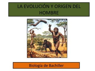 LA EVOLUCIÓN Y ORIGEN DEL HOMBRE Biología de Bachiller 