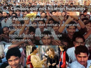 7. Cambios que nos hicieron humanos
• C. Aprender a hablar
- Gracias a la capacidad mental y al aparato
fonador.
- Homo ergaster tendría lenguaje
rudimentario.
 